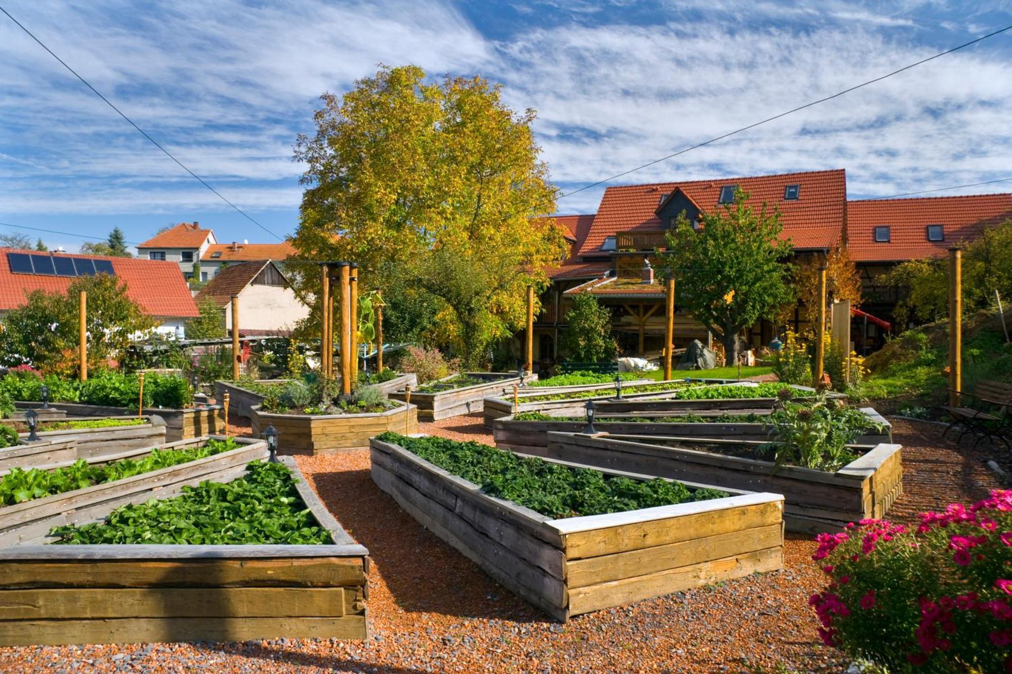 Apartamento Lehmhof-Lindig Kahla  Exterior foto